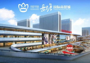 首付10萬 岳塘國際商貿(mào)城 搶旺鋪公寓 搶公寓 搶鋪子