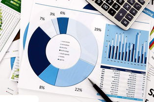 大數(shù)據(jù)分析軟件與商業(yè)智能（BI）工具 驅(qū)動互聯(lián)網(wǎng)數(shù)據(jù)服務(wù)的雙引擎