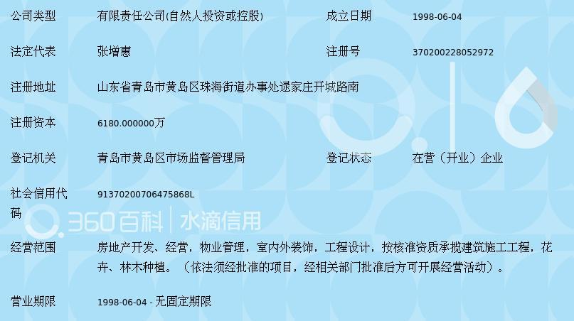 青島隆海集團股份有限公司注冊指南與要點解析